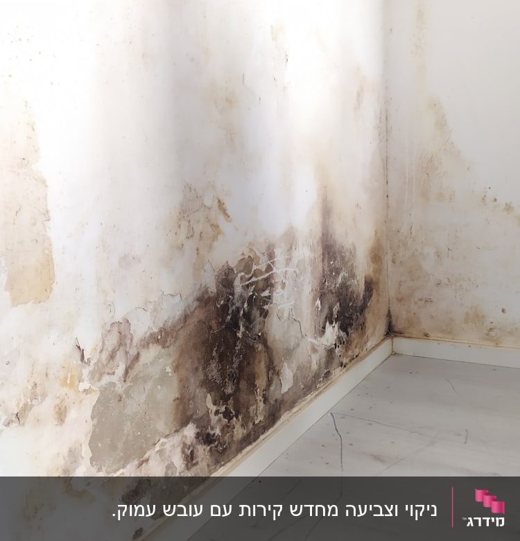 קיר עם כתמי רטיבות ועובש בפינה
